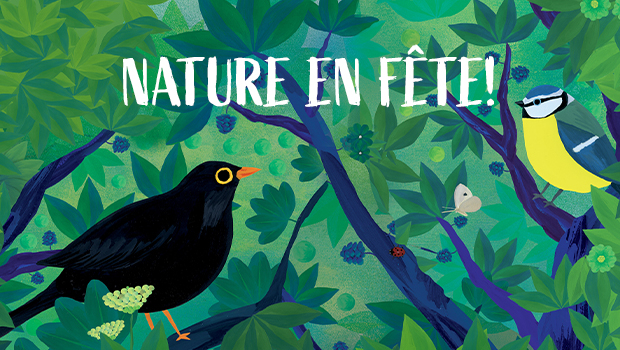 Aushopping Castres Nature en fête